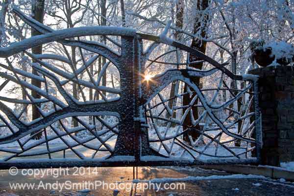 The Gate at Jenkins